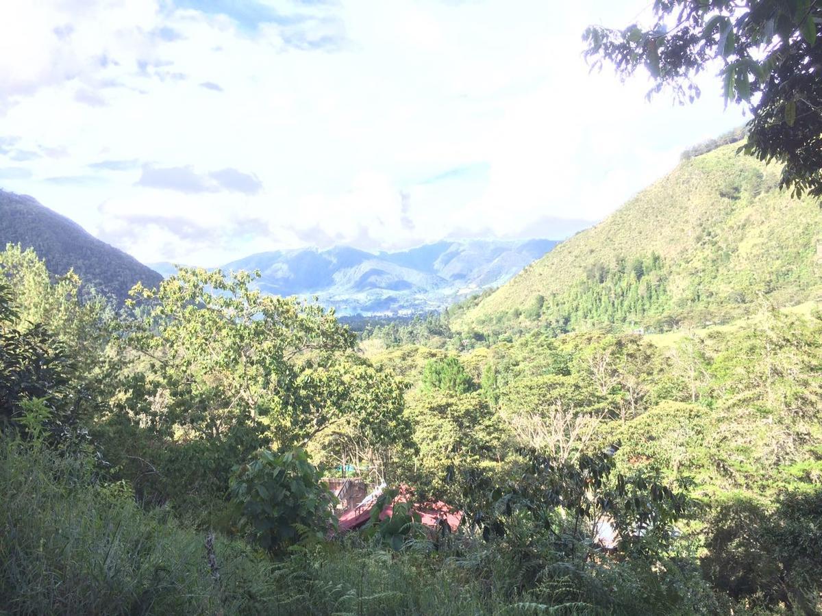 Illariy Tampu Ecoalbergue Oxapampa Luaran gambar
